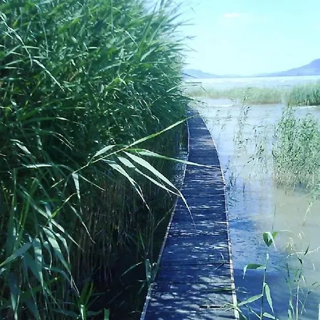 Feriehus 6 Ferohelyes Haz Sajat Steggel, Csonakkal Balatonfenyvesen Vizparti Utcaban *